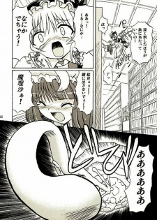 (Reitaisai 2) [Takakuya (Takaku Toshihiko)] Touhou Youjo Ranbu 2 (Touhou Project) - page 11