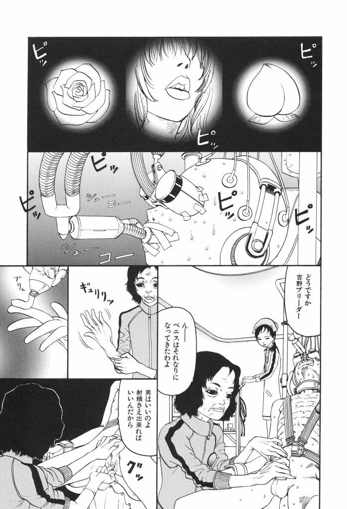 [SABE] Bloomer 1999 page 35 full