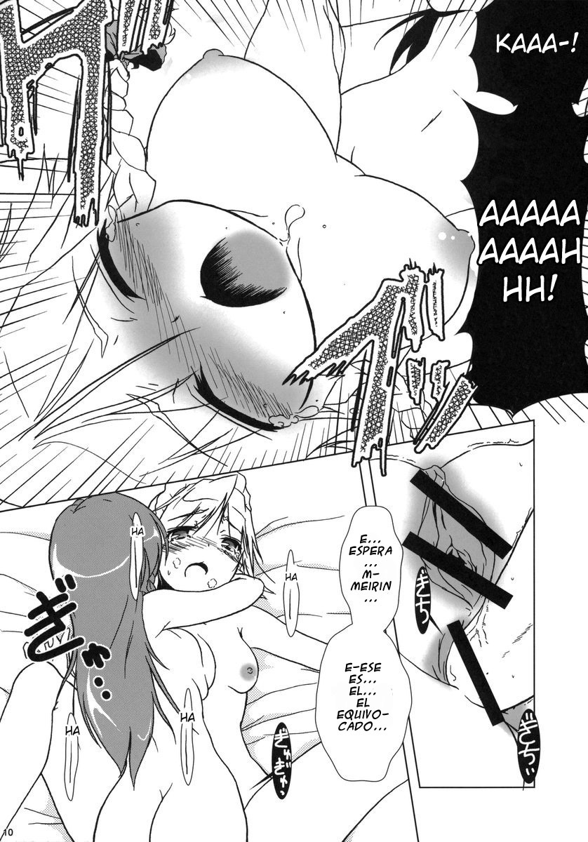 (C70) [Gutenberg no Musume (KnightO Satoshi)] Kajin Komusume Chuuka na Meiling! | Bloom Human Main Point (Touhou Project) [Spanish] [Touhou Hentai] page 10 full