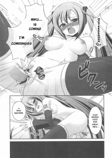 (C75) [etcycle (Hazuki)] Do Hentai Miku (Vocaloid) [English] [Tetra-Hentai Translations] - page 22