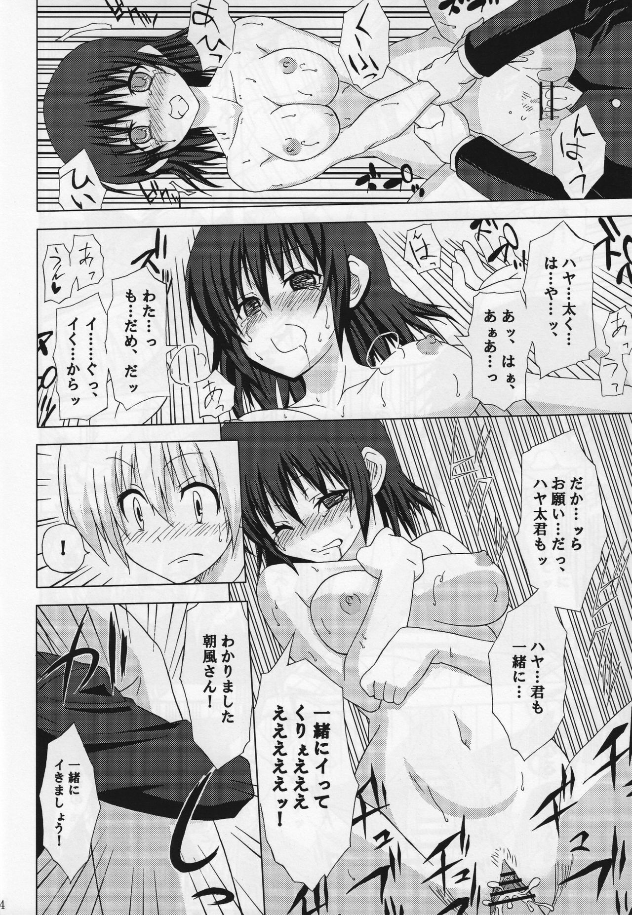 (CT12) [Many Menu (Kondate)] Zokkon Daro (Hayate No Gotoku) page 15 full