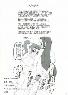 (C68) [Unagi No Nedoko (Nakano)] Fe (Ura casino zenpen) (Dragon Quest VIII) - page 17