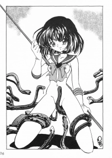 [Thirty Saver Street 2D Shooting (Various)] Silent Saturn Special - Saturn Kourin 10-shuunen Kinenbon (Bishoujo Senshi Sailor Moon) - page 37