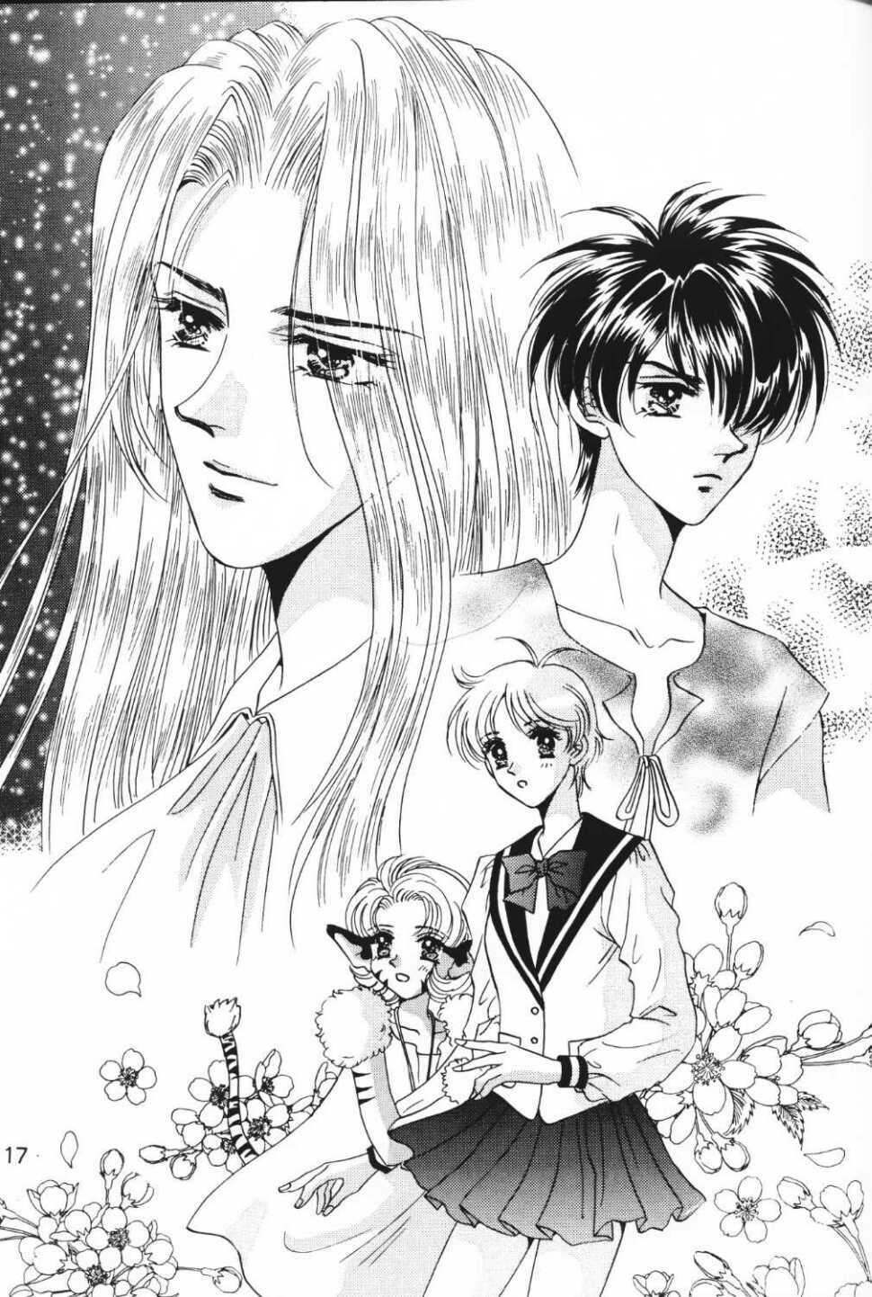 (C50) [Mizutama Shouboudan (Monogusa Wolf)] MYSTIC EYES (Escaflowne) page 16 full