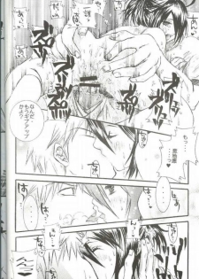 (C66) [PONCHEES (Kari) (Irohane Sui)] PIKA☆☆NCHI (Bleach) - page 11