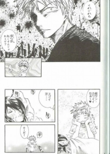 (C66) [PONCHEES (Kari) (Irohane Sui)] PIKA☆☆NCHI (Bleach) - page 18