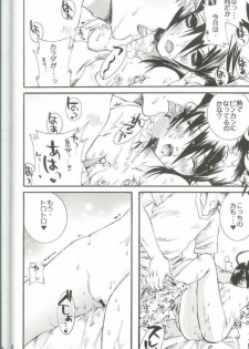 (C66) [PONCHEES (Kari) (Irohane Sui)] PIKA☆☆NCHI (Bleach) - page 23