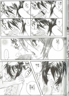 (C66) [PONCHEES (Kari) (Irohane Sui)] PIKA☆☆NCHI (Bleach) - page 6