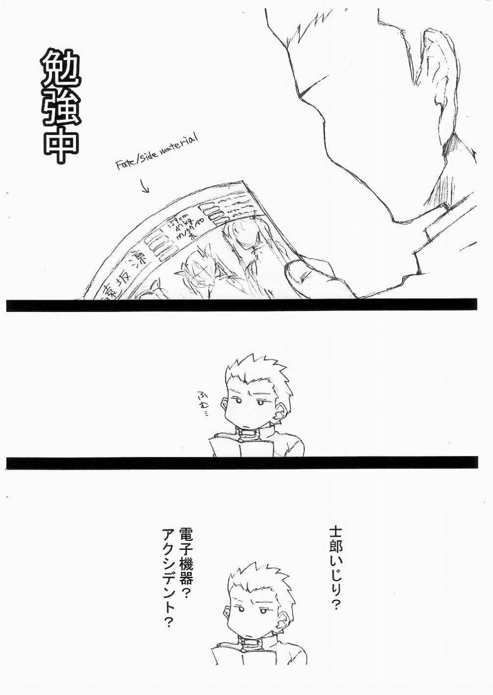 (Mimiket 10) [Hard Flogs (Haoto Luna)] Flogs Vol. 2 (Fate/stay night) page 3 full