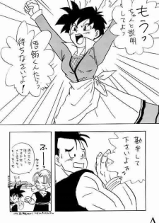 [Dragonball] Go! Go! Videl! - page 3