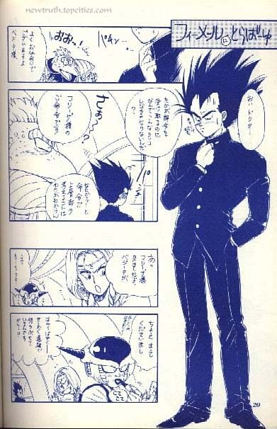 (C43) [Kame House (Yasunaga Wataru)] FEMALE TROUBLE (Dragon Ball Z) page 20 full