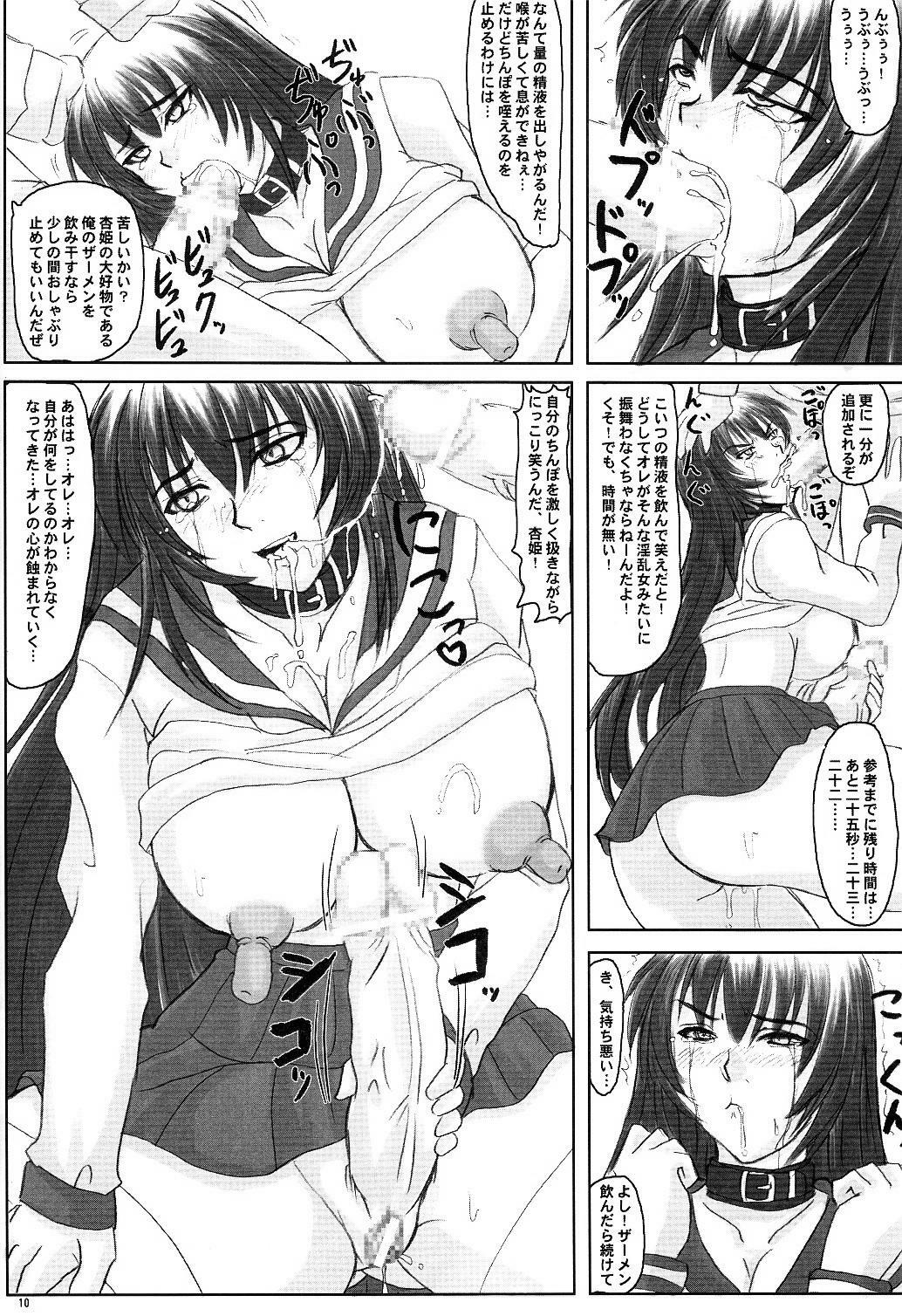 (C68) [Nozarashi (Nozarashi Satoru)] Tatakae! Kyouhime-sama!! page 10 full