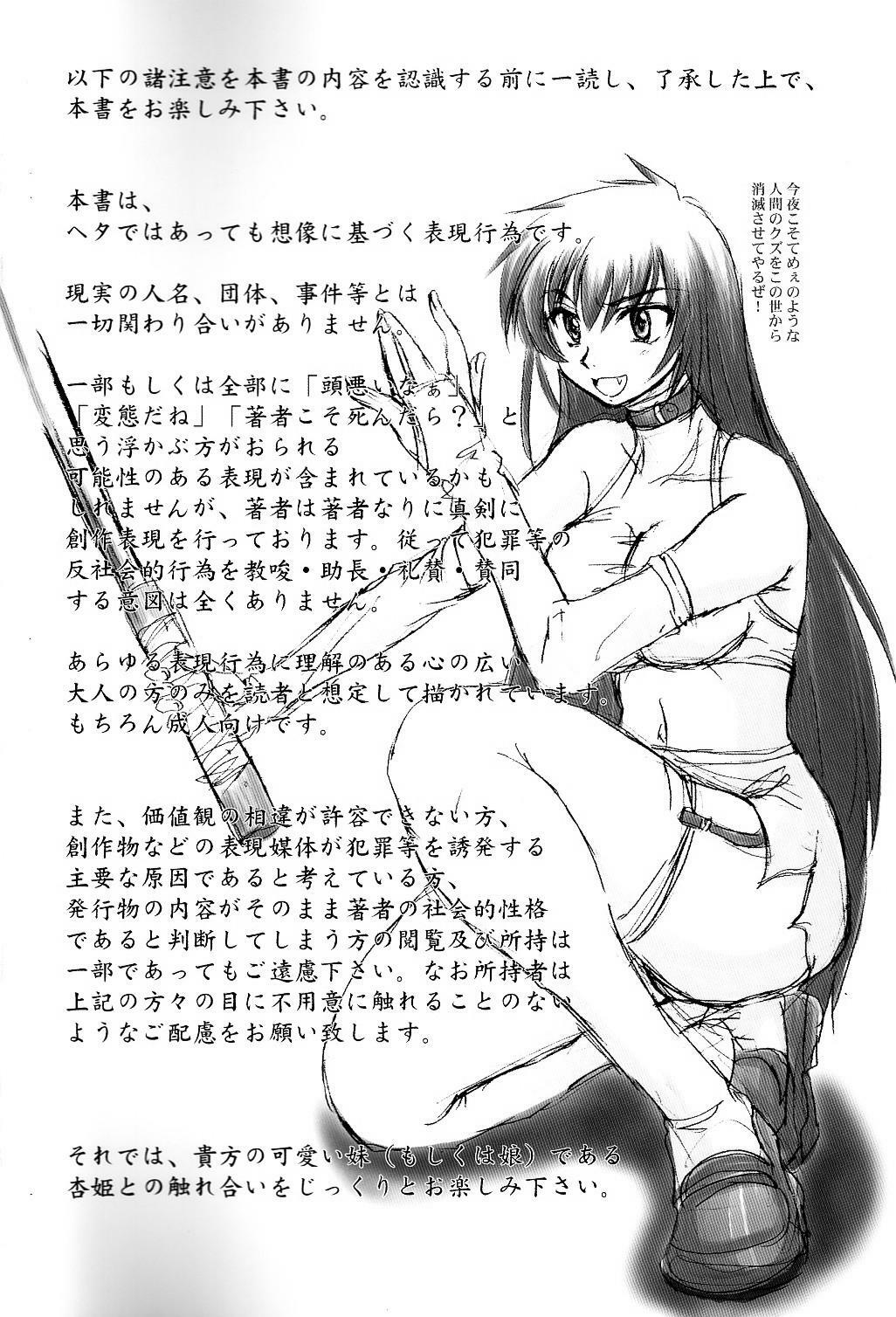 (C68) [Nozarashi (Nozarashi Satoru)] Tatakae! Kyouhime-sama!! page 2 full