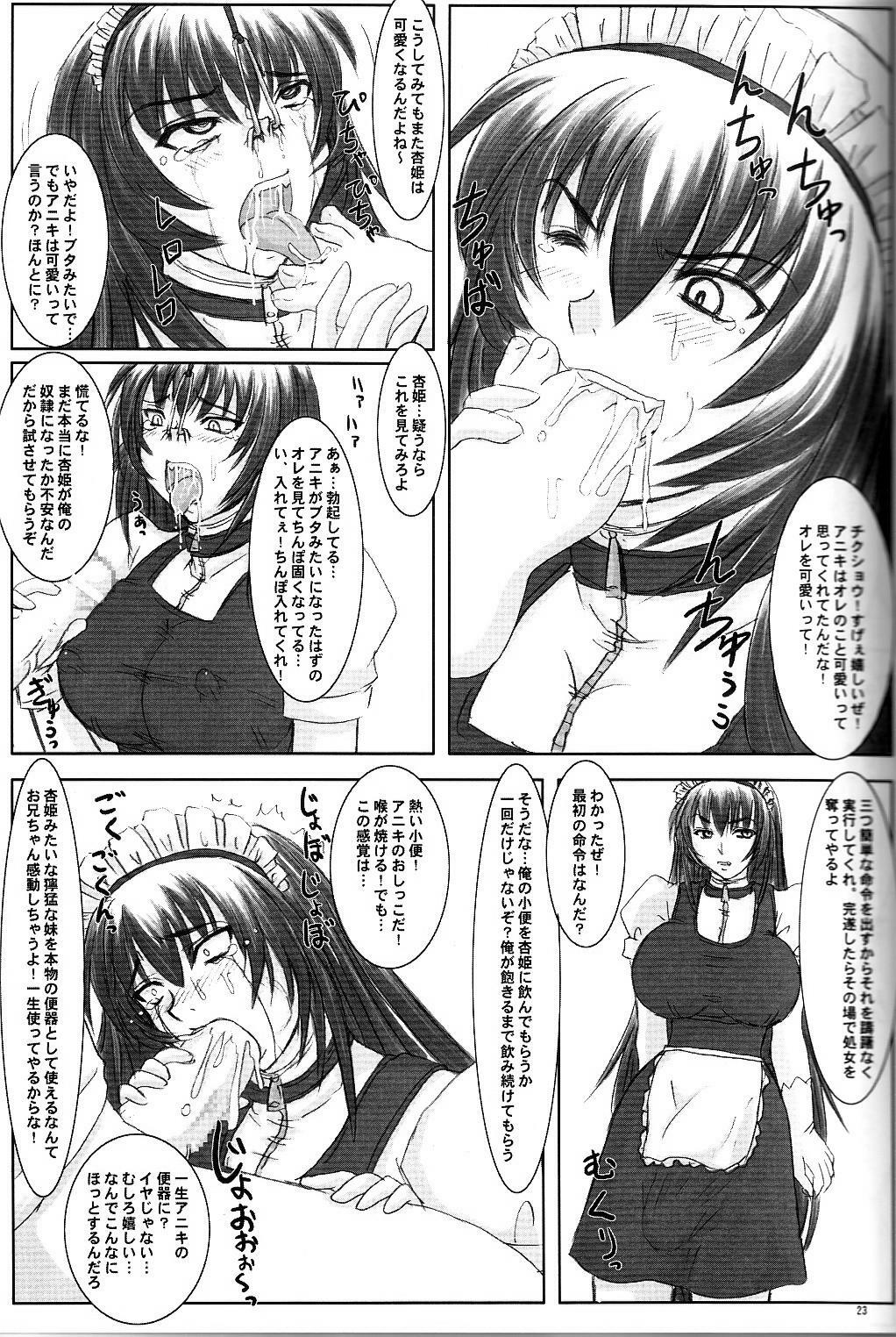 (C68) [Nozarashi (Nozarashi Satoru)] Tatakae! Kyouhime-sama!! page 23 full