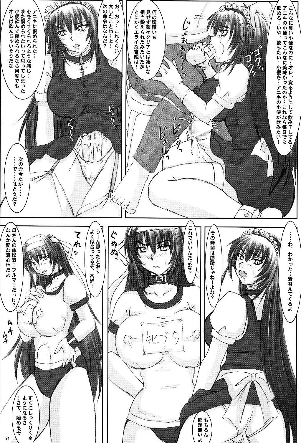 (C68) [Nozarashi (Nozarashi Satoru)] Tatakae! Kyouhime-sama!! page 24 full