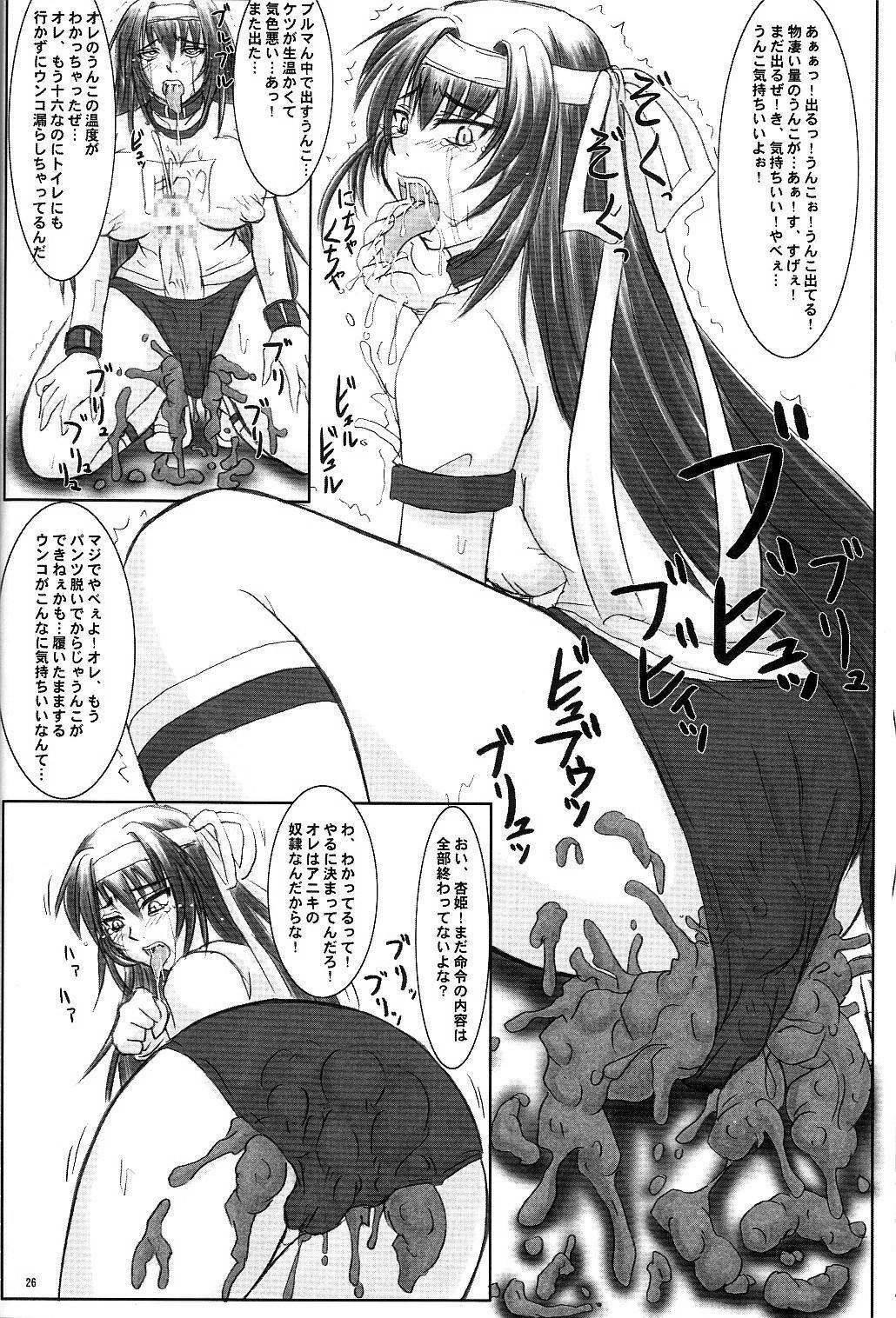 (C68) [Nozarashi (Nozarashi Satoru)] Tatakae! Kyouhime-sama!! page 26 full