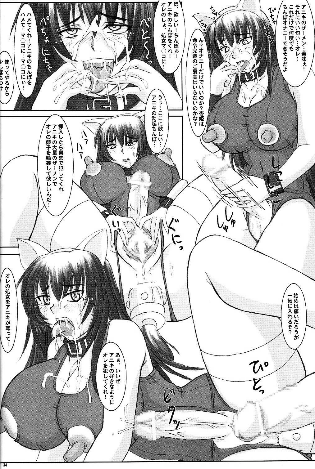 (C68) [Nozarashi (Nozarashi Satoru)] Tatakae! Kyouhime-sama!! page 34 full