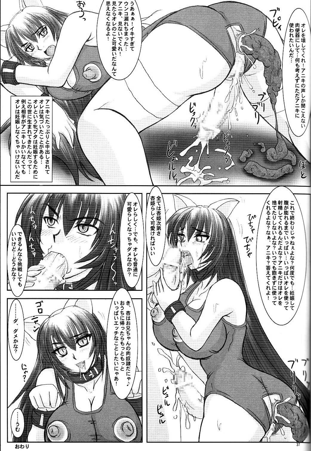 (C68) [Nozarashi (Nozarashi Satoru)] Tatakae! Kyouhime-sama!! page 37 full