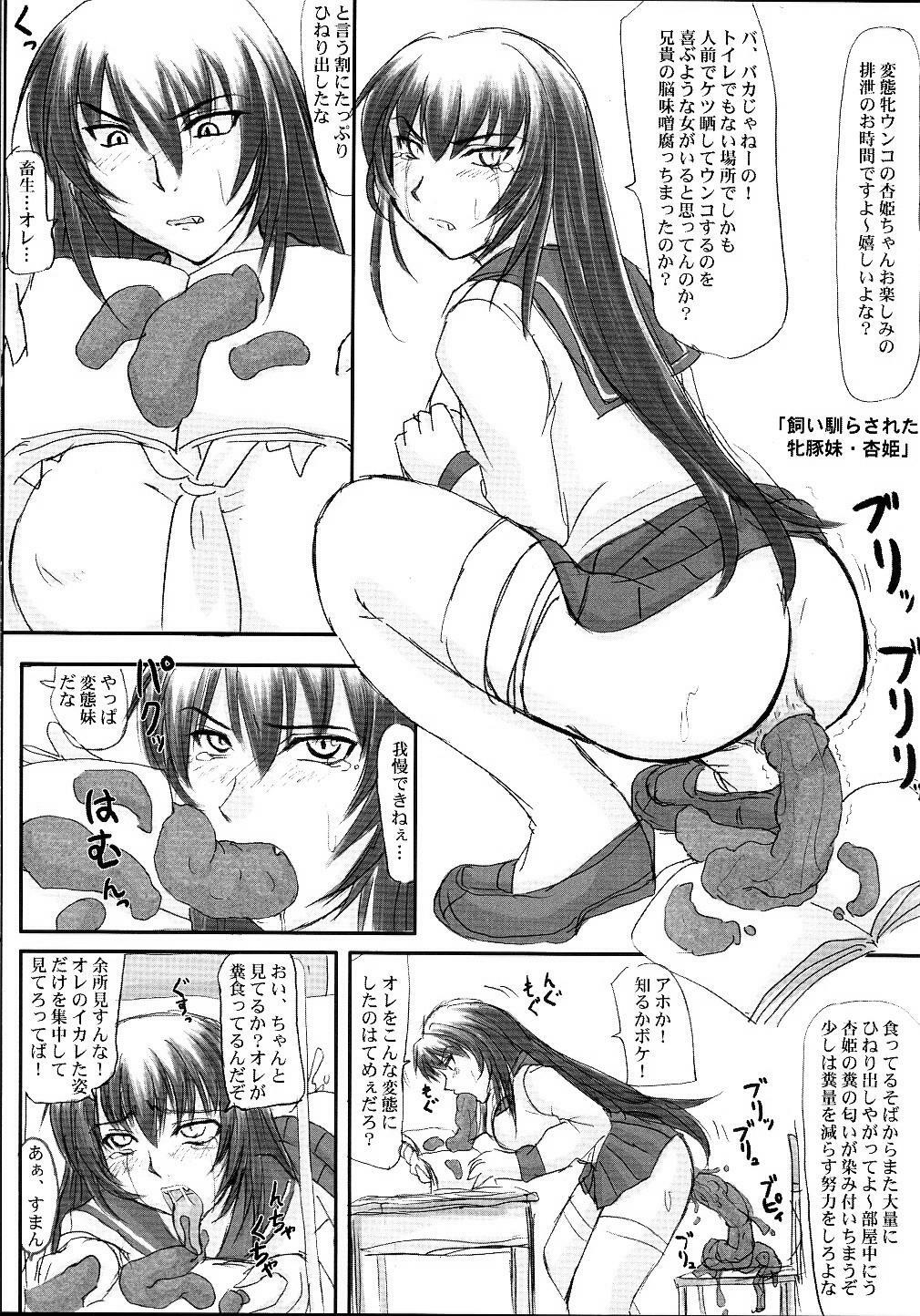 (C68) [Nozarashi (Nozarashi Satoru)] Tatakae! Kyouhime-sama!! page 41 full