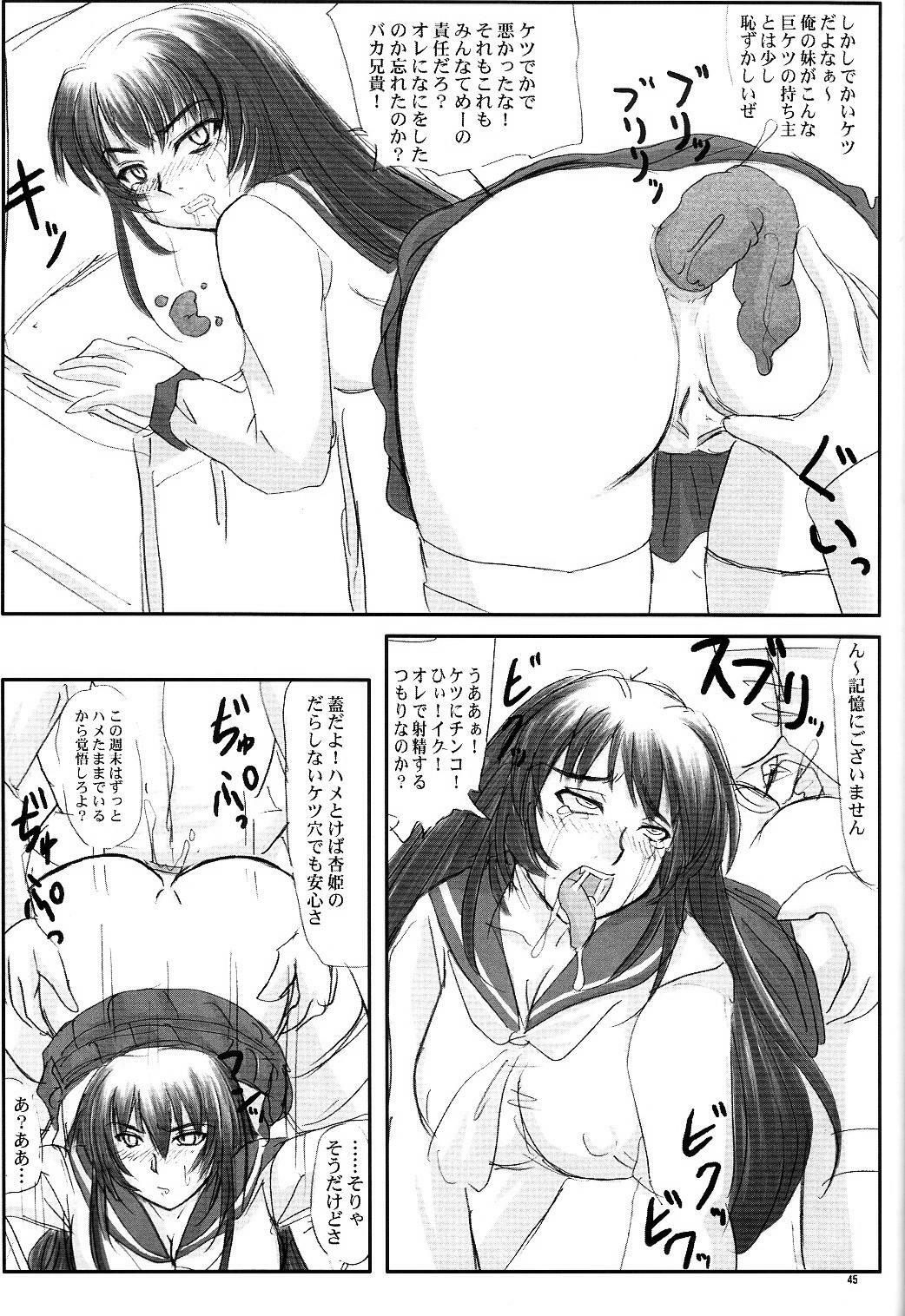 (C68) [Nozarashi (Nozarashi Satoru)] Tatakae! Kyouhime-sama!! page 45 full