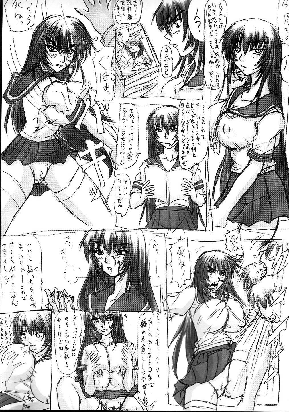 (C68) [Nozarashi (Nozarashi Satoru)] Tatakae! Kyouhime-sama!! page 47 full