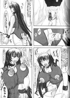 (C68) [Nozarashi (Nozarashi Satoru)] Tatakae! Kyouhime-sama!! - page 31