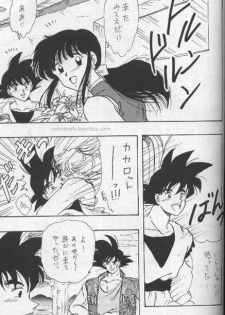 [Wild Turkey (Shinya Miki, Kurisaki Masumi)] Orgy (Dragon Ball Z) - page 19