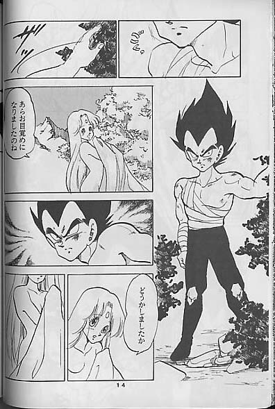 (C41) [Mixed Vegetable (Tendou Wataru)] Madonna-tachi no Lullaby (Dragon Ball Z) [Incomplete] page 14 full