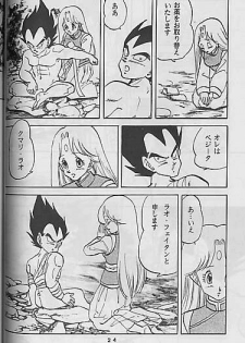 (C41) [Mixed Vegetable (Tendou Wataru)] Madonna-tachi no Lullaby (Dragon Ball Z) [Incomplete] - page 24