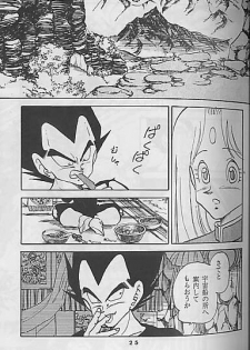 (C41) [Mixed Vegetable (Tendou Wataru)] Madonna-tachi no Lullaby (Dragon Ball Z) [Incomplete] - page 25