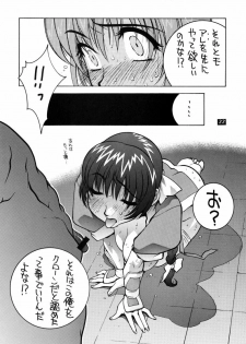 (C58) [P-collection (nori-haru, Nonomura Hideki)] Kasumi. (Dead or Alive, Street Fighter) - page 21