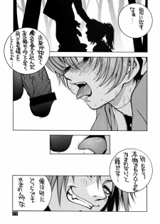 (C58) [P-collection (nori-haru, Nonomura Hideki)] Kasumi. (Dead or Alive, Street Fighter) - page 22