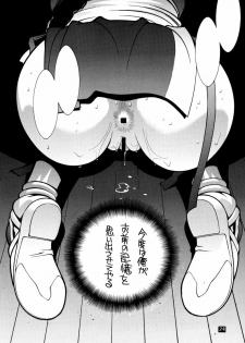(C58) [P-collection (nori-haru, Nonomura Hideki)] Kasumi. (Dead or Alive, Street Fighter) - page 23