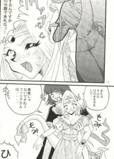 [Ginmomodou (Mita Satomi)] Slayers Adult 7 (Slayers) - page 8