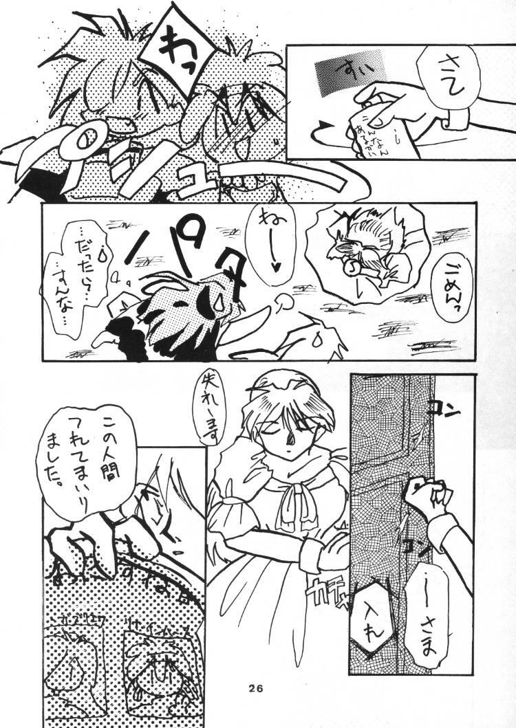 (C48) [Anikigaiku] Gongo Doudan (Slayers) page 25 full