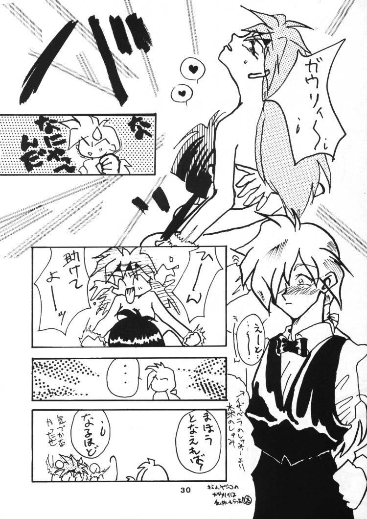 (C48) [Anikigaiku] Gongo Doudan (Slayers) page 29 full