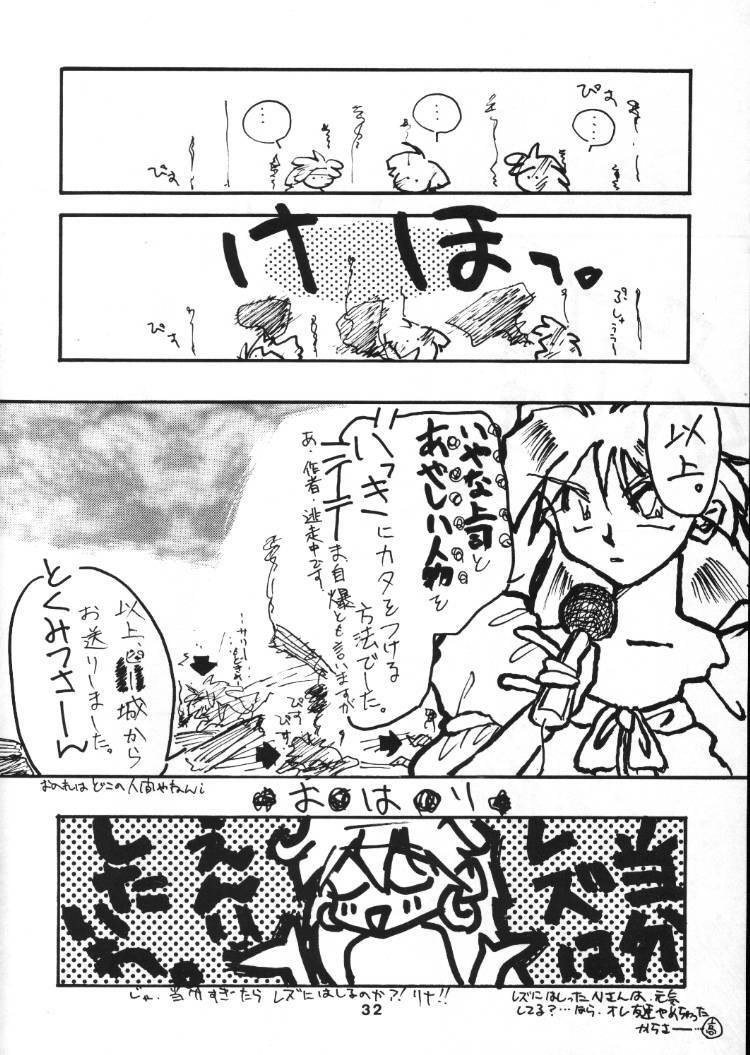 (C48) [Anikigaiku] Gongo Doudan (Slayers) page 31 full