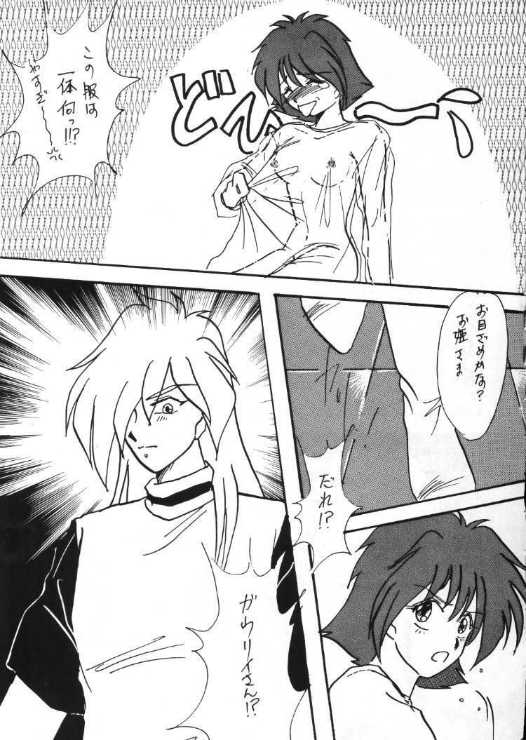 (C48) [Anikigaiku] Gongo Doudan (Slayers) page 38 full