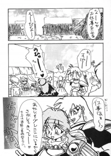 (C48) [Anikigaiku] Gongo Doudan (Slayers) - page 22