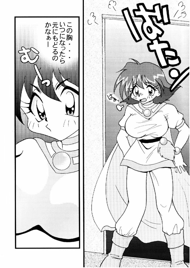 (C57) [Ginmomodou (Mita Satomi)] Slayers Adult 10 (Slayers) page 9 full