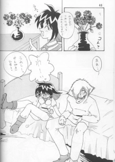 (C52) [Ginmomodou (Mita Satomi)] Slayers Adult Mix (1 & 2) (Slayers) - page 46