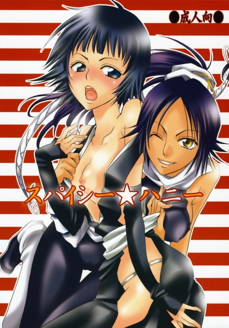 (C70) [Kurione-sha (YU-RI)] Spicy Honey (Bleach)