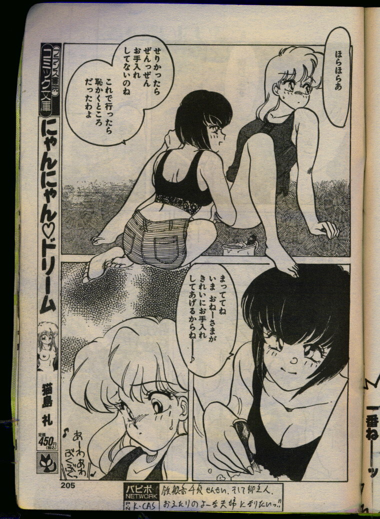 Comic Papipo 1993-08 page 203 full