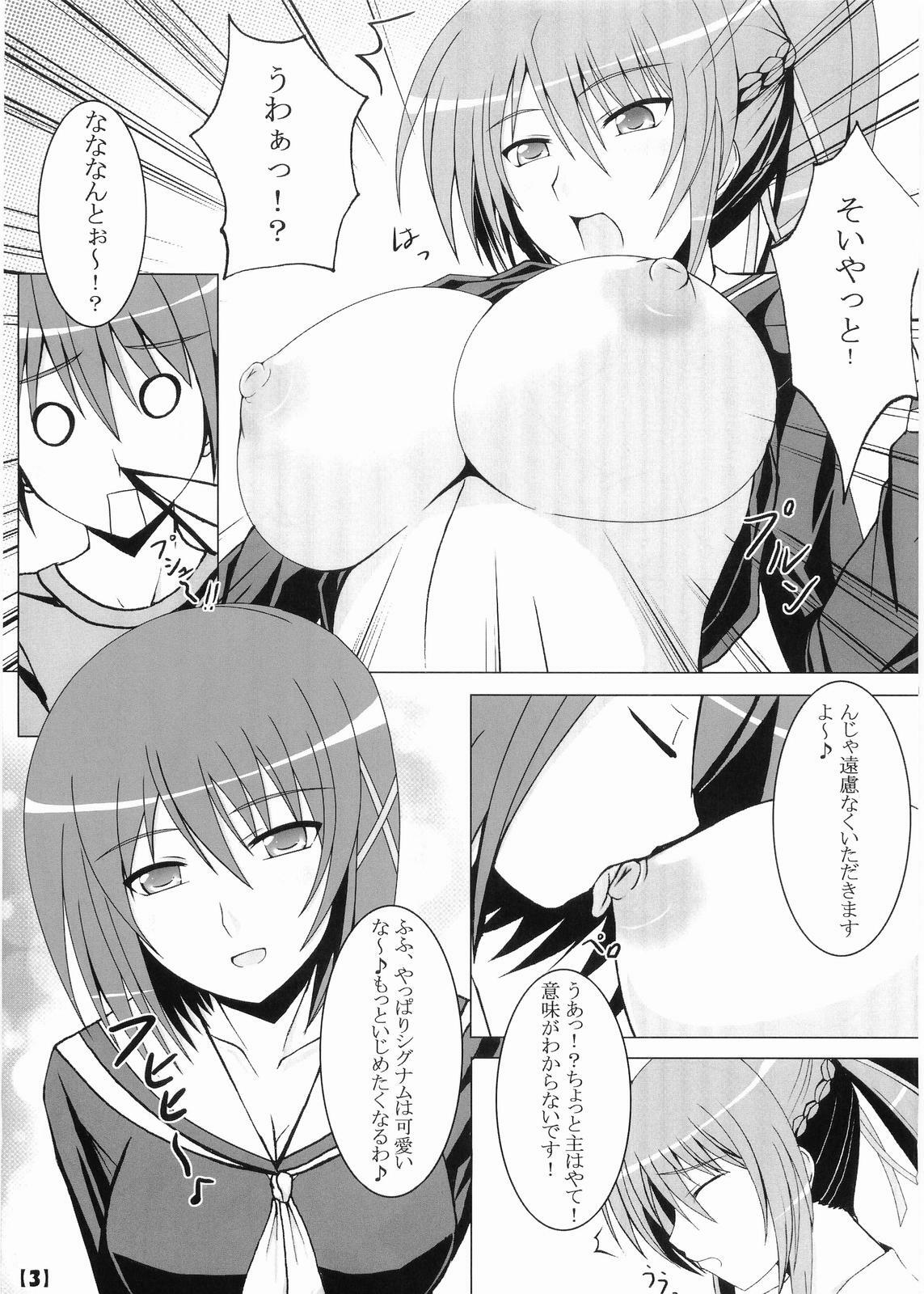 (C75) [Nezumitori (Kuronezumi)] Hayate-sama ga Goranshin! (Mahou Shoujo Lyrical Nanoha StrikerS) page 4 full