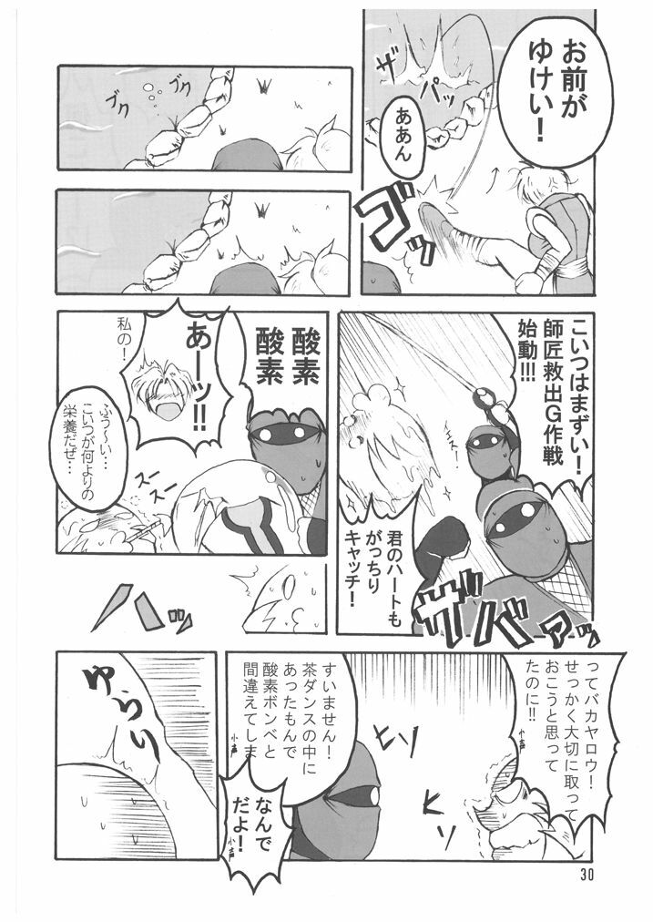 (C71) [bash-inc (BASH)] Bubun ga Bushinden 4 Soushuuhen (Capcom VS SNK) page 30 full