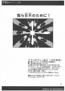 (C71) [bash-inc (BASH)] Bubun ga Bushinden 4 Soushuuhen (Capcom VS SNK) - page 34