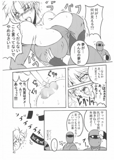 (C71) [bash-inc (BASH)] Bubun ga Bushinden 4 Soushuuhen (Capcom VS SNK) - page 43