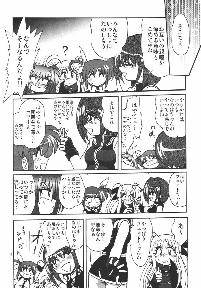 [Thirty Saver Street 2D Shooting (Various)] Storage Ignition 3 (Mahou Shoujo Lyrical Nanoha) page 14 full