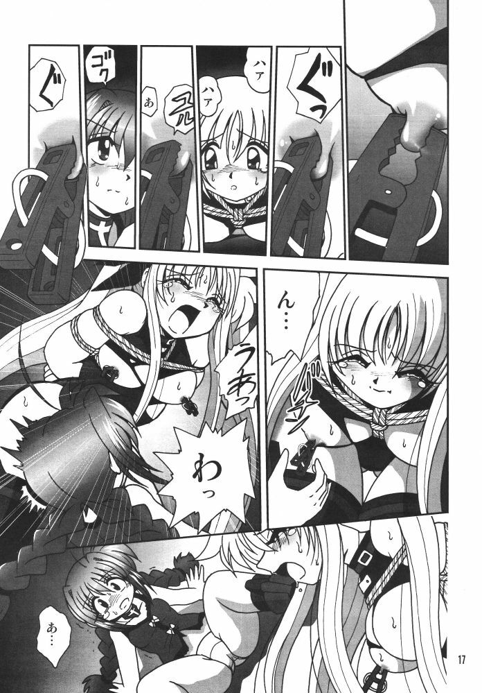 [Thirty Saver Street 2D Shooting (Various)] Storage Ignition 3 (Mahou Shoujo Lyrical Nanoha) page 17 full