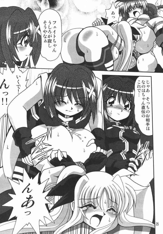 [Thirty Saver Street 2D Shooting (Various)] Storage Ignition 3 (Mahou Shoujo Lyrical Nanoha) page 25 full